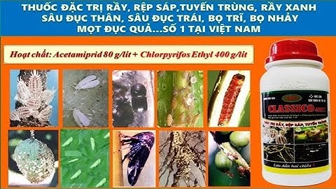 CLASSICO 480EC – THUỐC ĐẶC TRỊ SÂU ĐỤC THÂN, RỆP SÁP, MỌT ĐỤC CÀNH GÂY HẠI TRÊN CÂY TRỒNG