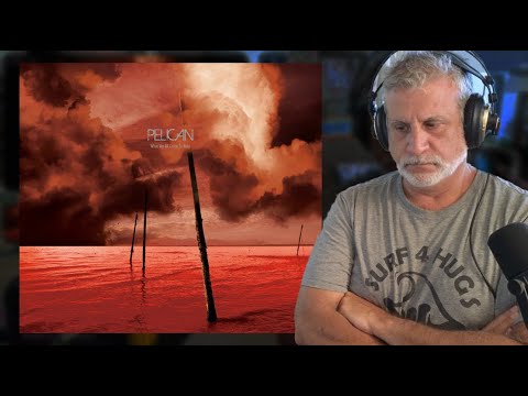 Old Composer Reacts to GLIMMER by Pelican
