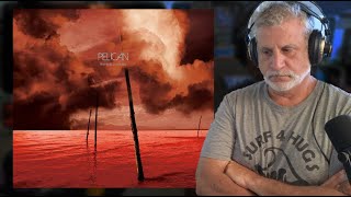 Old Composer Reacts To Glimmer By Pelican