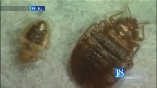 More than twenty people at a Lafayette apartment complex say they have bed bugs
