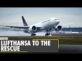 Lufthansa has flown 80 tonnes of food supplies into UK | UK COVID new strain | World News