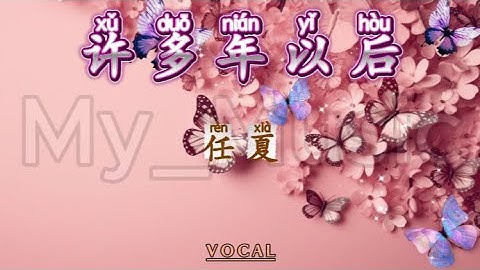 (VOCAL) Xu Duo Nian Yi Hou 许多年以后 - Ren Xia 任夏