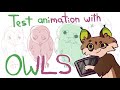 Test animation with owls