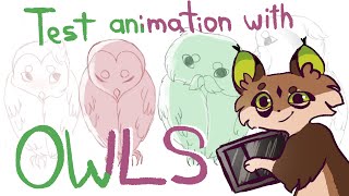 Test animation with owls