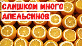 Вред слишком большого количества апельсинов #shorts