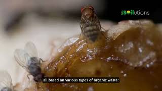 bioSOILUTIONS: Circular solutions for soil health#1