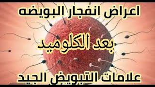 اعراض انفجار البويضه بعد الكلوميد اذاي تعرفي ان لازم يحصل علا️قه حالا لان بويضه موجوده للتلقيح حالا