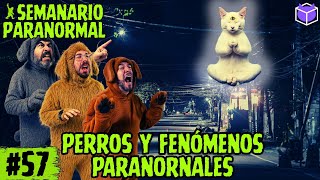 PERROS Y FENÓMENOS PARANORMALES \/ CAP 57 \/  SEMANARIO PARANORMAL