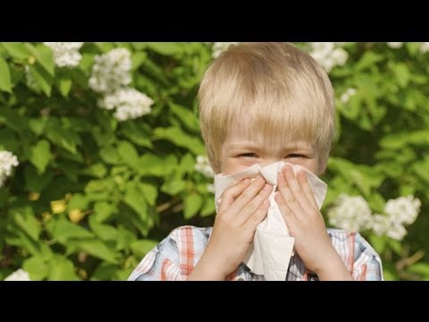 Video: Cómo evitar los ataques de asma cuando está estresado: 11 pasos