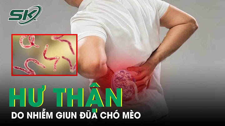 Giun sán chó mèo lây qua đường nào năm 2024