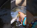 yah, I love fishing❤ #fish #amazing #nature #viral #short #video