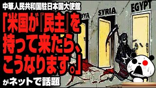 中華人民共和国駐日本国大使館「米国が『民主』を持って来たら、こうなります」が話題