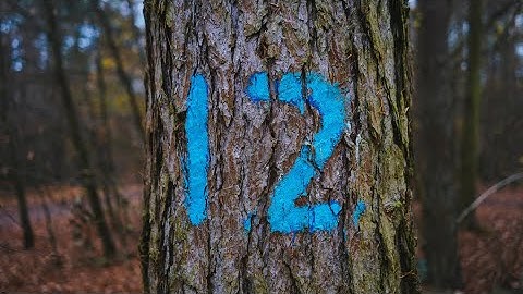 Feed Mii with my Wii U CPU Miis (Part 12)