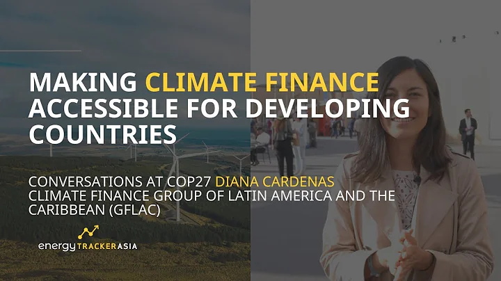 Making Climate Finance Accessible For Developing C...