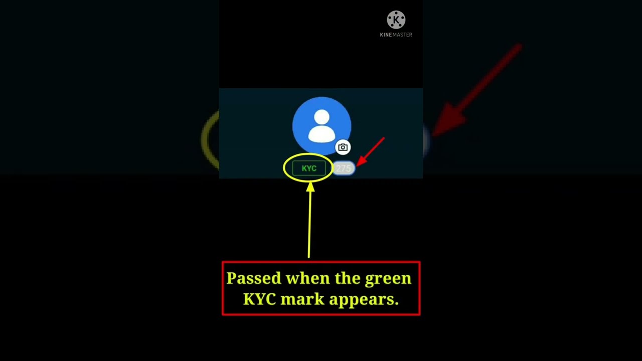 How to check kyc verification in timestop