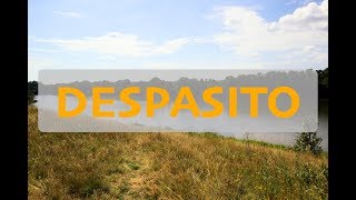 DESPACITO | CZECH CLIP