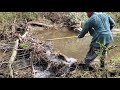 Tearing Out 3 Beaver Dams By Hand On Thanksgiving Day!