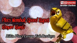 Pleci Nembak Speed Rapet Kenari Kunti || Bikin Pleci Lawan Takberdaya