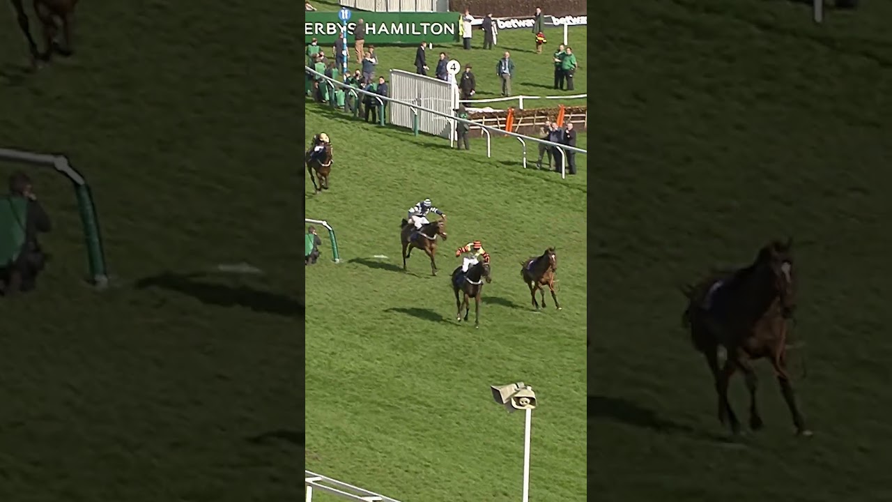 Clear at the last… then he went the WRONG way 😳