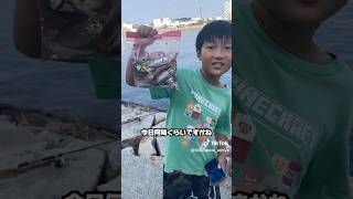 この場所でアジが爆釣中です🤫 #short #shorts