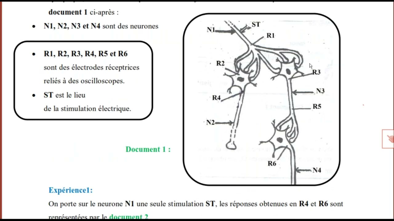 🧿 Révision devoir de synthèse SVT TakiAcademy