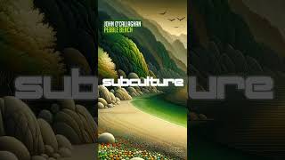 OUT NOW on Subculture, my first track of 2024 John O’Callaghan - Pebble Beach #trance #subculture