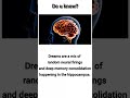 intresting facts about brain