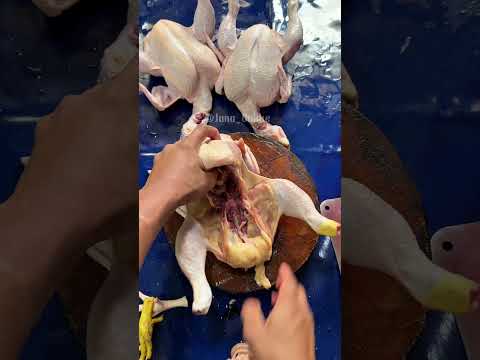 Potong 6 siap masak, skill potong daging ayam #cuttingskills #chicken #shorts #short
