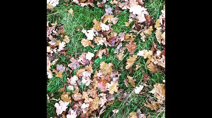 Just breathe