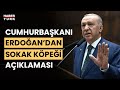 Cumhurbaşkanı Erdoğan’dan sokak hayvanlarına ilişkin açıklama: “Çözüme kavuşturmamız şart&quot;