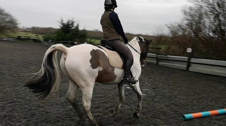 Gilbert and Georgie Bray Edie's fight online dressage novice 24