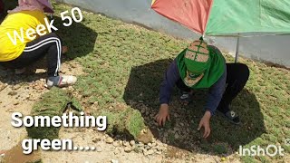 House build - Week 50: BBQ, AC, welder, granite and grass! Phew!