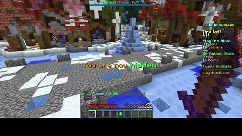 Hide and Seek on The Hive