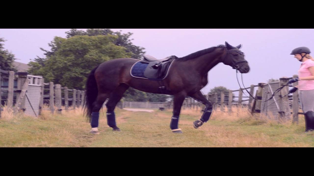 Place in the sun - YouTube