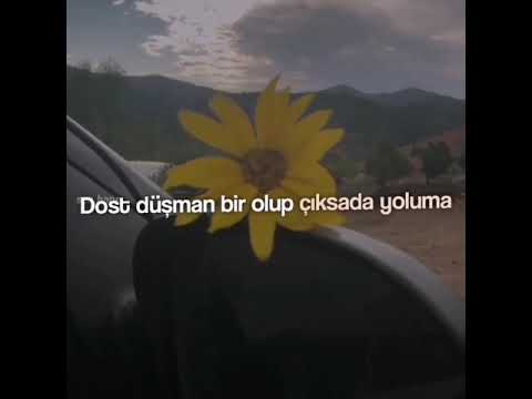 Dünyanın yükünü yazsalar payıma dost düşman bir olup çıksada yoluma