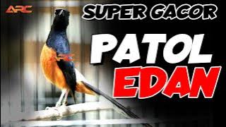 MURAI PASTOL FUL MATERI TEMBAKAN SUPER MEWAH SIAP HADAPI BADAI TIANG BESI