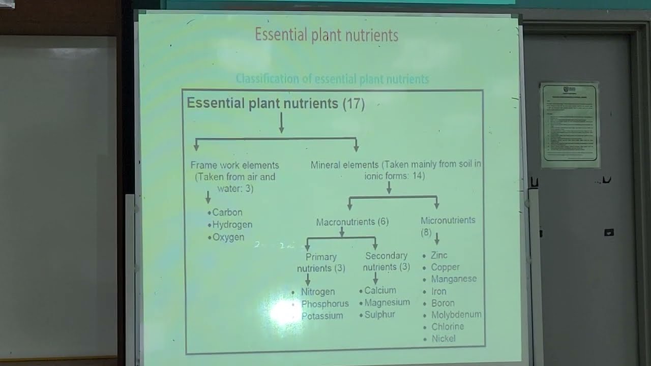 Crop Physiology Nutrition and Mineral Absorption Part 2 of 3 and Practical Seed Moisture Content