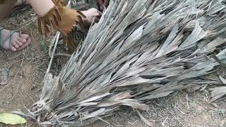 Lisa's Daily Life: How to make hat from dried palm leaves - Single Mom Survival In The Forest