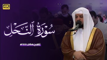 تلاوة مبكية وخاشعة || سورة النحل من ليالي القيام 1444هـ || بصوت || هيثم الدخين