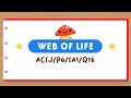 Understanding the Web of Life