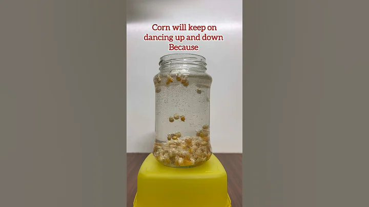 Popcorn Dance Show 🌽 #science #funactivities #kidsfunactivities #shorts #blippi