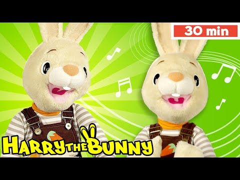 Baby Learning First Words with Harry the Bunny & Larry | Games | Music & Prepositions for Toddlers
