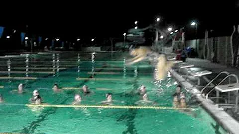 Sarah Sholes Jump or Dive
