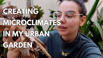 How to Create Microclimates in Your Garden: Beginner Permaculture Guide