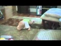 Trying to crawl