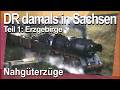 Nahgüterzüge zwischen Glauchau und Stollberg