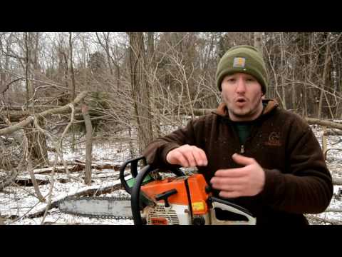 Hinge Cutting | Emergency Deer Cover and Food in the Winter