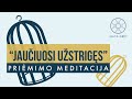 JAUČIUOSI UŽSTRIGĘS - Priėmimo ir dėkingumo meditacija lietuviškai