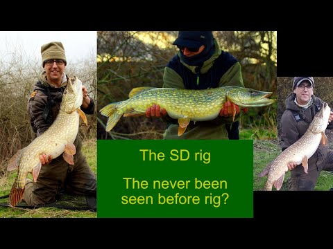 Deadbaiting for pike - the never seen before rig? 