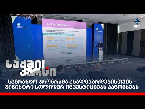 საგრანტო პროგრამა ახალგაზრდებისთვის - მინისტრი სოლიდურ ინვესტიციებს აანონსებს